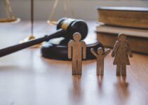 What Legal Issues Does Family Law Encompass