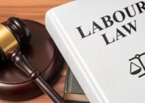9 Things You Should Know About Employment & Labour Law