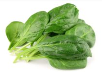 5 Unknown Benefits of IQF Frozen Spinach