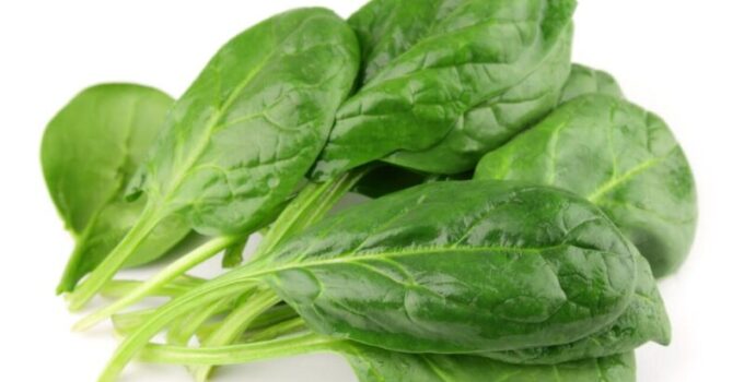 5 Unknown Benefits of IQF Frozen Spinach
