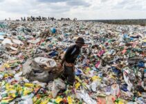 How Can We Solve the Problem of Plastic Waste?