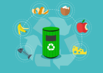 How Can We Reduce Waste in Our Daily Life?
