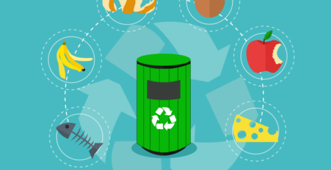 How Can We Reduce Waste in Our Daily Life?
