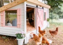 How Big Should A Chicken Coop Be?