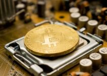 How Does Halving Affect the Price of Bitcoin?