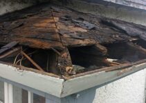 Does Renters Insurance Cover Water Damage From the Leaking Roof