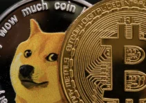 5 Reasons Why Dogecoin Is So Much Better Than Bitcoin