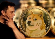 How Many Dogecoin Does Elon Musk Own?