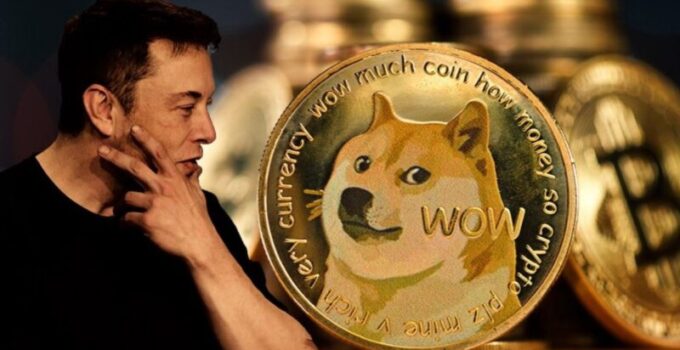 How Many Dogecoin Does Elon Musk Own?