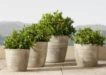 How to Buy the Most Beautiful and Stylish Decorative Plant Pots?