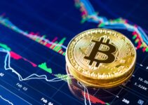 Cryptocurrency Day Trading Tips: How To Be A Successful Trader
