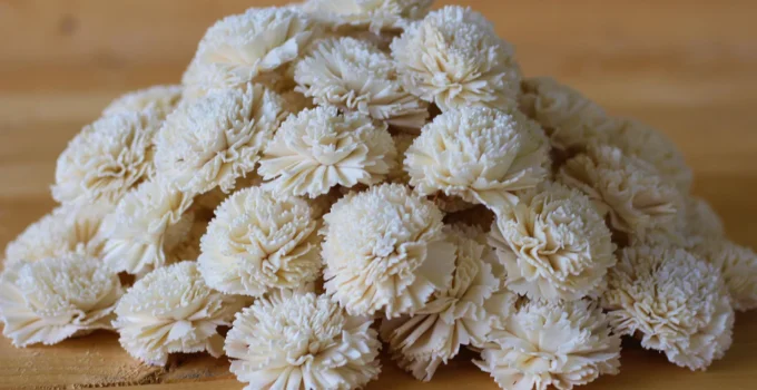 All About Bulk Carnations: What You Need to Know