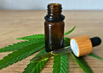 What Are the Best Ways in Which CBD Oil Can Benefit Your Health?