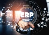 Understanding Which ERP Software Your Business Needs