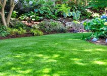 6 Tips & Tricks For Having The Greenest Lawn On The Block
