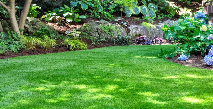 6 Tips & Tricks For Having The Greenest Lawn On The Block