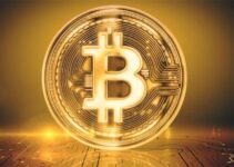 How Can the Bit iPlex Codes App Help in Crypto Trading? 2024 Ultimate Guide