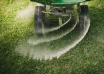 How Often Should I Use Liquid Fertilizer on My Grass?