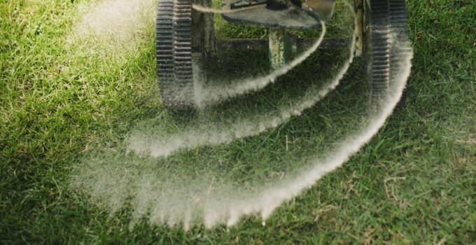 How Often Should I Use Liquid Fertilizer on My Grass?