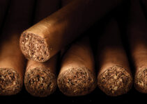 The Art of Premium Cigars: The Difference Between Cheap and Expensive Cigars