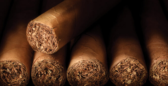 The Art of Premium Cigars: The Difference Between Cheap and Expensive Cigars