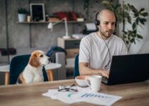 4 Ways You Benefit When You Work from Home