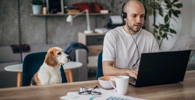 4 Ways You Benefit When You Work from Home