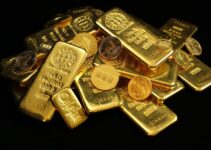 Gold Bullions vs Coins: Which Should You Invest In – 2024 Guide