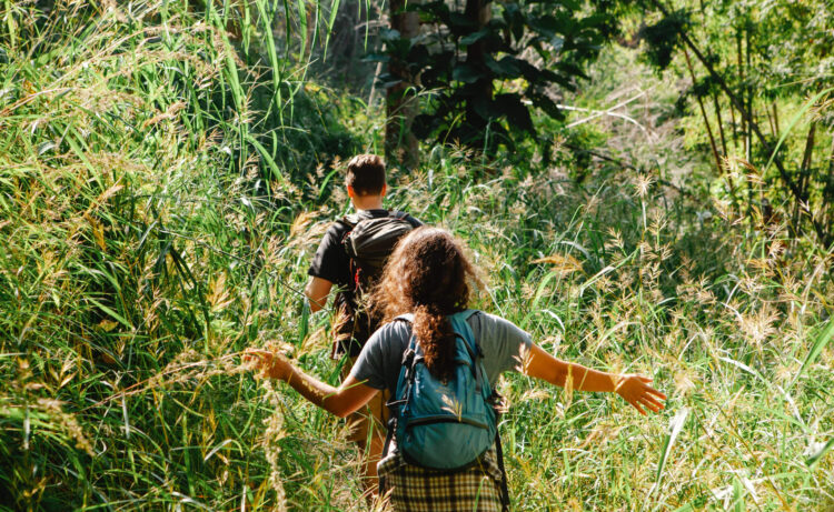 St. Kitts and Nevis Promotes Sustainable - Eco-friendly Tourism