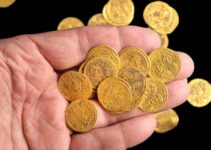 5 Reasons To Start Investing in Gold Coins