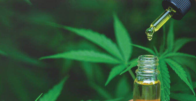 CBD Startup Strategy - Sourcing, Saving, and Scaling Your Business