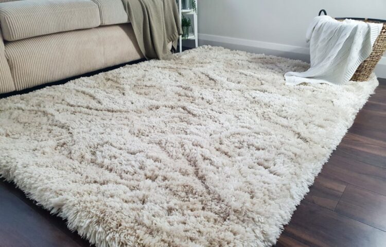 Harmonizing with Various Styles - cream shaggy rug