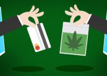 Stress-Free Shopping: How Online Dispensaries Have Revolutionized the Cannabis Industry