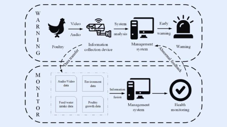 Poultry Farming sensors - Data-Driven Insights and Precision Management