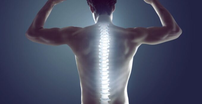 Posture and Ergonomics: Maintaining a Healthy Spine and Preventing Back Pain