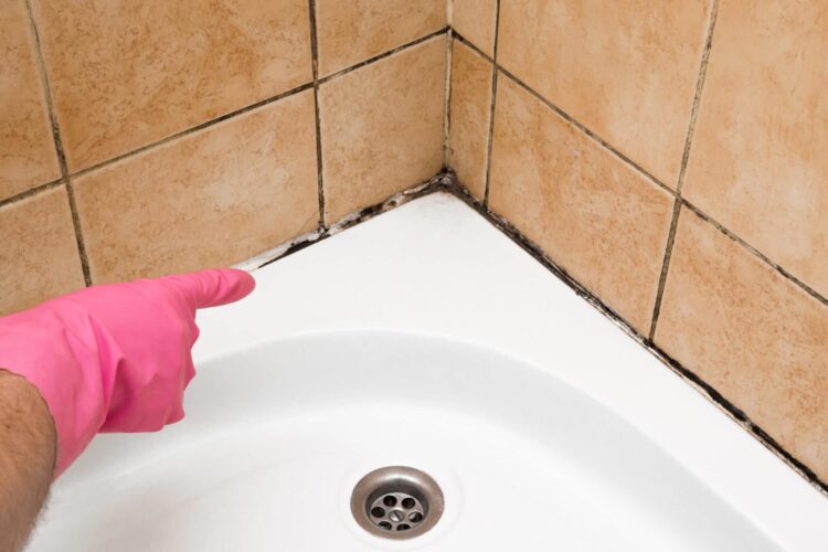 Removing Black Mold and Cleaning the Toilet
