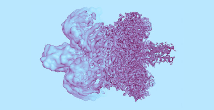 The Protein Production Pipeline: From Gene to Purified Protein