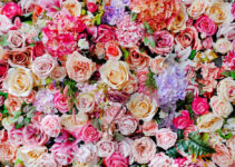 What Are the Best Flowers to Choose for The Birthday of Your Loved Ones?