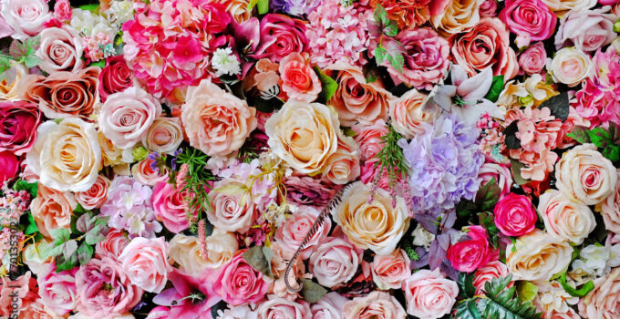 What Are the Best Flowers to Choose for The Birthday of Your Loved Ones?