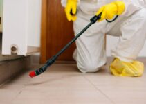 Helpful Pest Control Tips for Aussie Homes