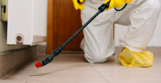 Helpful Pest Control Tips for Aussie Homes