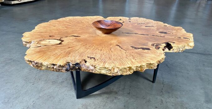 Burl Wood Coffee Table