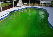 How to Clean a Green Pool Without Chemicals: Eco-Friendly Tips