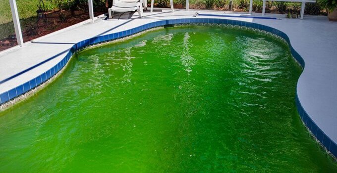 How to Clean a Green Pool Without Chemicals: Eco-Friendly Tips