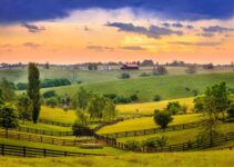 Kentucky Travel Guide: Best Locations and Planning Tips for A Memorable Experience