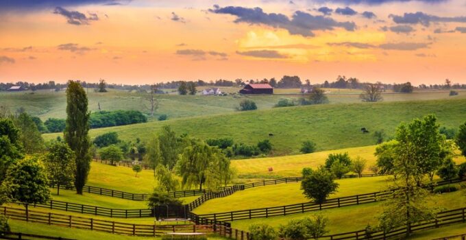 Kentucky Travel Guide: Best Locations and Planning Tips for A Memorable Experience