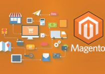 Why Is Magento a Popular Platform?