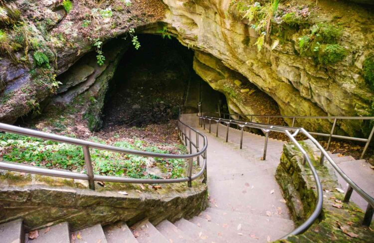 Mammoth Cave National Park