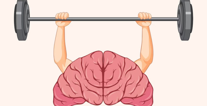 What Is Muscle Memory in Bodybuilding: Unraveling the Phenomenon