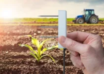 The Role of Soil Moisture Monitoring in Modern Agriculture
